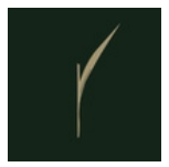 Rare Earth logo