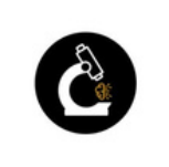 Microfy Systems logo